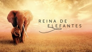 Reina de elefantes