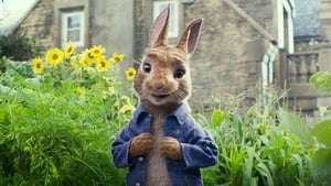 Peter Rabbit